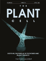 Plant Cell – Huebbers 2024